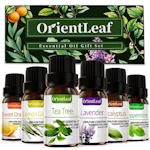 Essential Oils Set