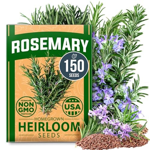 Rosemary Seeds