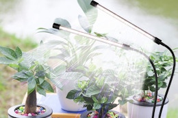 grow lights on plants