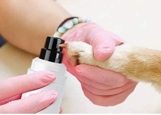 white and black dog nail grinder