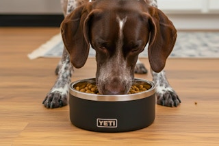 free yeti bowl super chewer