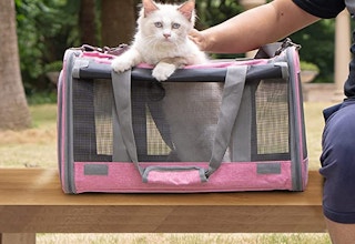 amazon travel pet carrierjpg 1683051744 1683051744