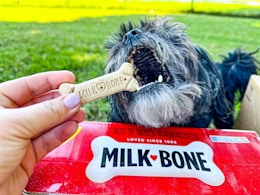Milk-Bone 24-Ounce Dog Treat Boxes, as Low as $2.78 on Amazon card image