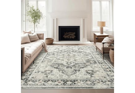 Area Rug