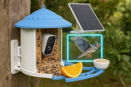 Bird Feeder With Camera, Only $33.99 After Amazon Promo Code card image