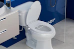 a toilet seat bidet