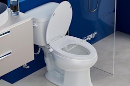 a toilet seat bidet