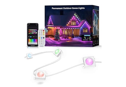 Permanent Outdoor Lights