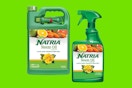 bottles neem oil spray on a light green background