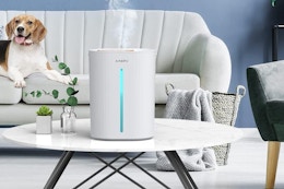 This $80 Humidifier Drops to $39.99 After Amazon Coupon card image