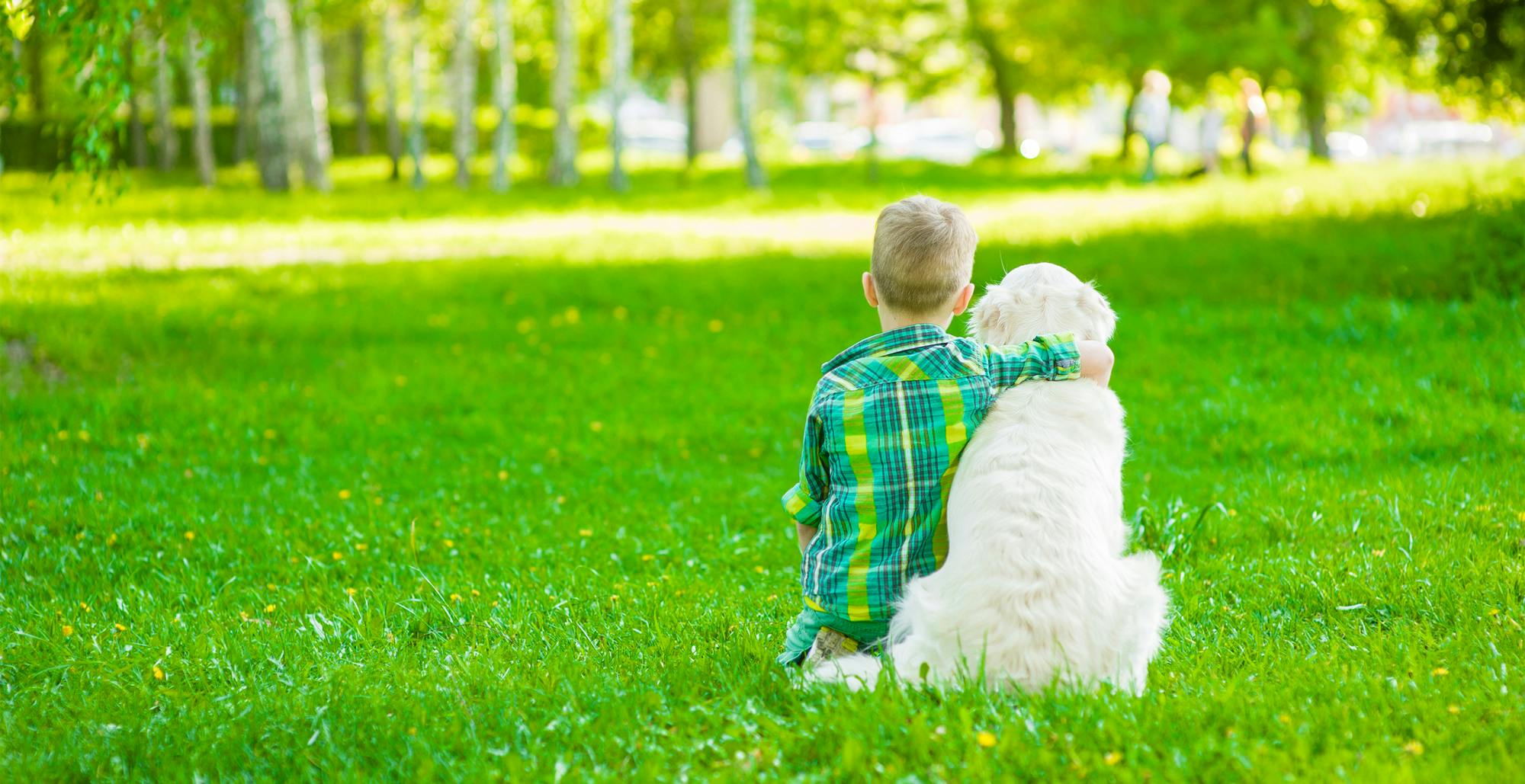 Pamper Your Pet: Unbeatable Deals for National Love Your Pet Day