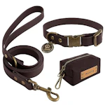 Dog Collar and Leash Set