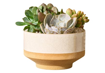 Better Homes & Gardens Planter