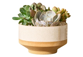 Better Homes & Gardens Planter
