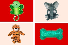 Target Kong dog toys