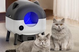 Self-Cleaning Litter Box, Just $190 With Amazon Discounts (Reg. $380) card image