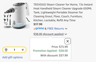 home steam cleaner