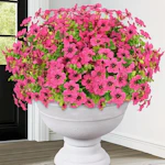 Artificial Flowers