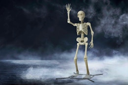 Hot Deal: Steve the 10-Foot Skeleton Is Now Only $62 at Walmart (Reg. $249) card image