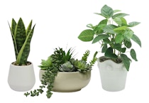 Festive Voice Faux Plant