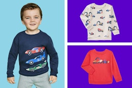 3 Garanimal toddler sweater prints