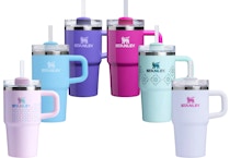 Stanley Winter Wonderland Tumbler