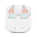 Hearing Aids