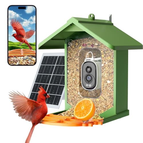 Bird Feeder with Camera