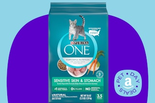 purina cat food