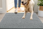 a dog door mat at an entryway