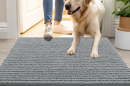 a dog door mat at an entryway