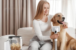 B0D41FC1D8 Dog Grooming Kit