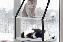 Cat Window Perch, Just $12.99 After Amazon Promo Code card image
