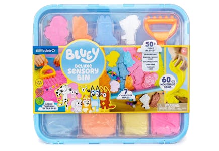 Bluey Sensory Bin