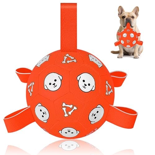 Dog Soccer Ball
