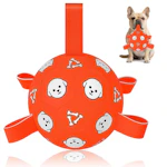 Dog Soccer Ball