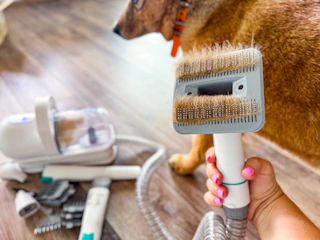 amazon-dog-grooming-kit5