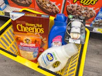 dollar general groceries in shopping basket