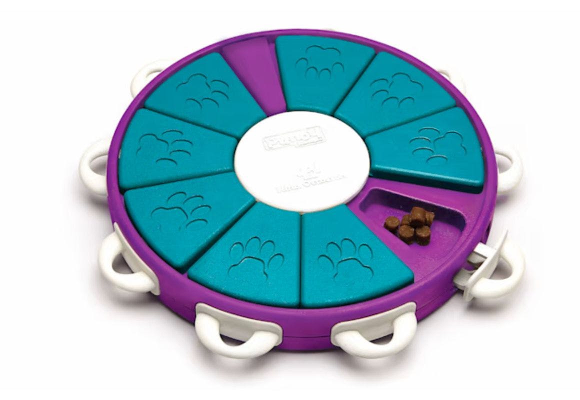 Outward Hound Puzzle Feeder