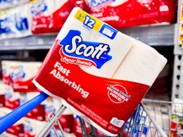scott paper towels in walmart cart
