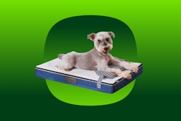 Washable Dog Bed, as Low as $16 on Amazon card image