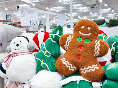 Holiday Pillow
