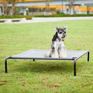 amazon elevated dog bed ct 1638977651 1638977652