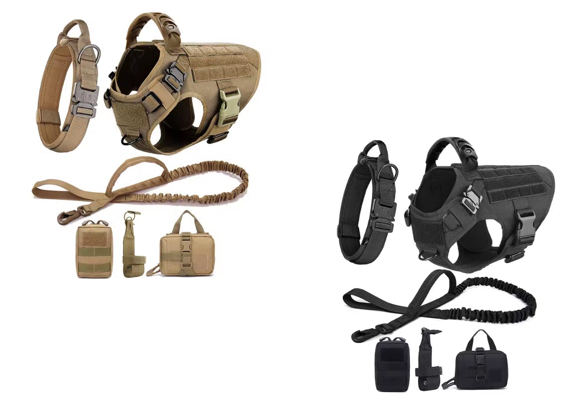 Dog Harness and Leash Set