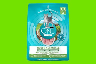 Purina One Cat Food Bags on green background
