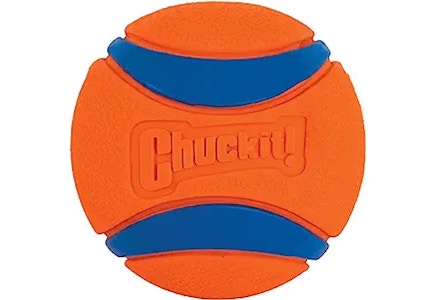 Chuckit Large Ball