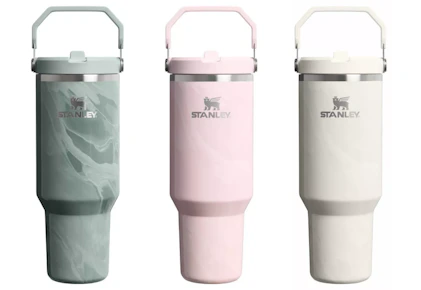 Stanley Ice Flow Tumbler