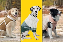 Koolaburra by Ugg Pet Winter Wear at Kohl's: $12.49 Jackets and More card image