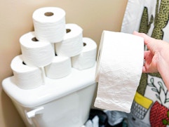 Quilted Northern Toilet Paper