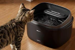 a cat using a cat fountain